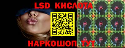 сатива Сланцы