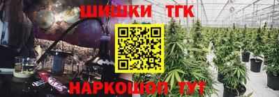 МДПВ Славгород
