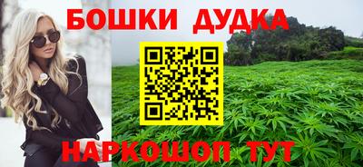 МДПВ Славгород
