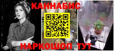 сатива Сланцы