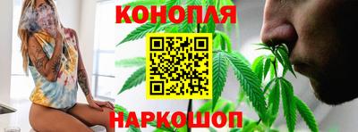 МДПВ Славгород