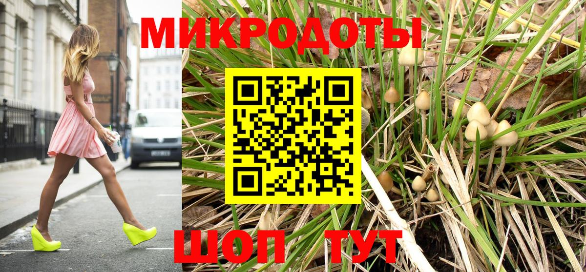 Нурлат  Галлюциногенные грибы Cubensis  Псилоцибиновые грибы мицелий  Вход с VPN 
